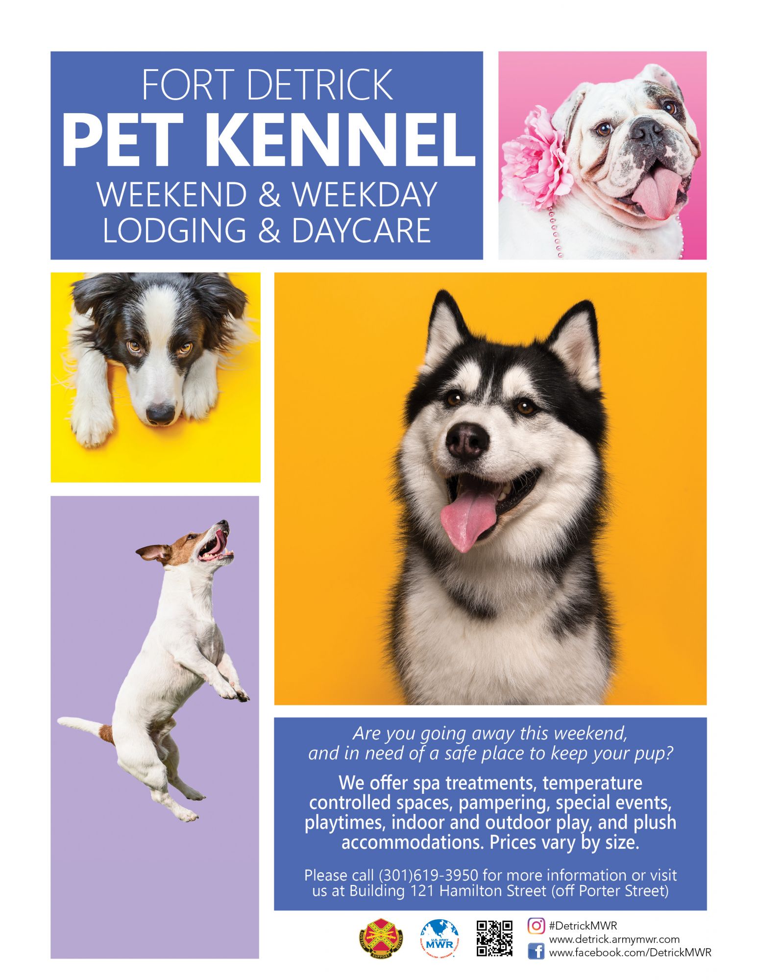 Kennel Flyer.jpg